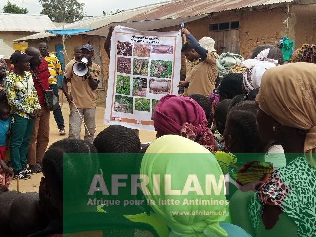 reg_pdf_image_11_1 Ituri : 6 mois de lutte contre les restes explosifs de guerre – Le bilan d’AFRILAM